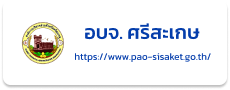 Link 2
